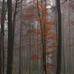 Penzion Walddorf Winterberg