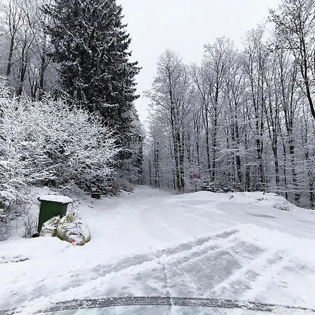 Guest house Walddorf 2*