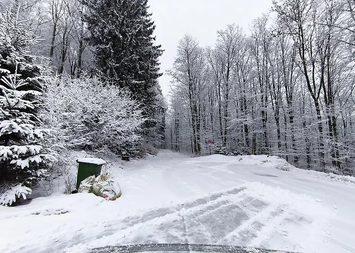 Guest house Walddorf 2*